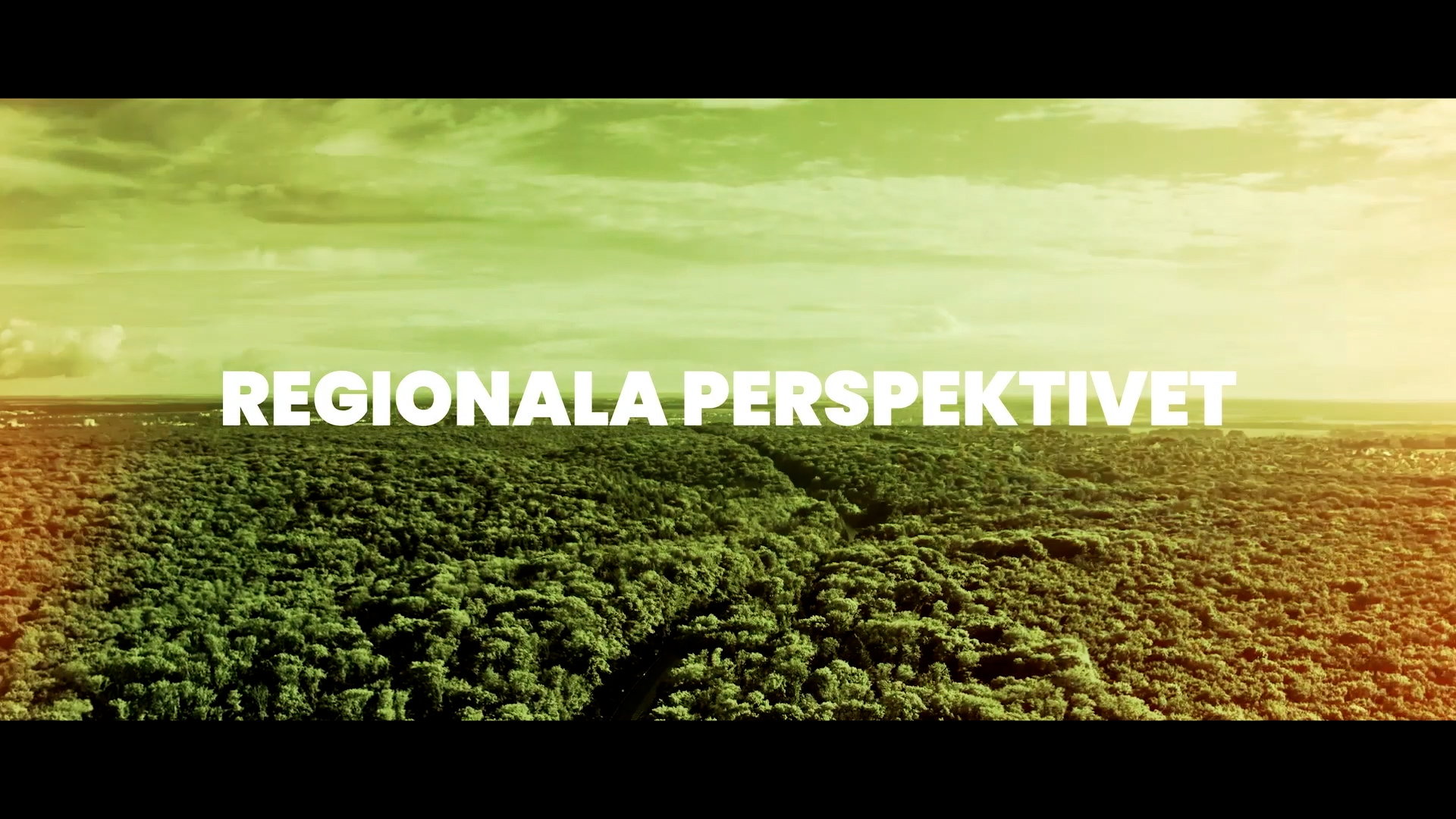 Regionala-Perspektivet.00_00_00_19.Still002